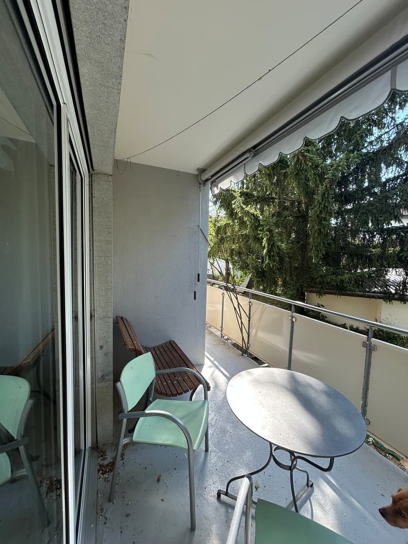 3 Zimmer-Wohnung, 4500 Solothurn (6)