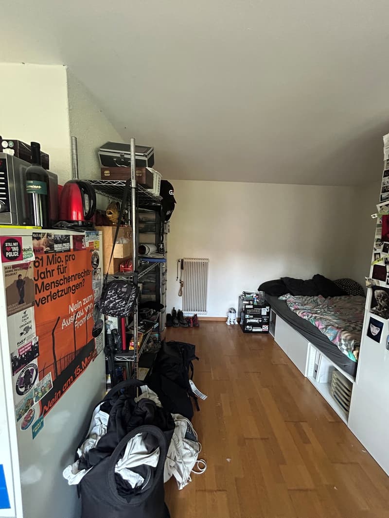 Schöne 1-Zimmer-Wohnung an bester Lage (2)