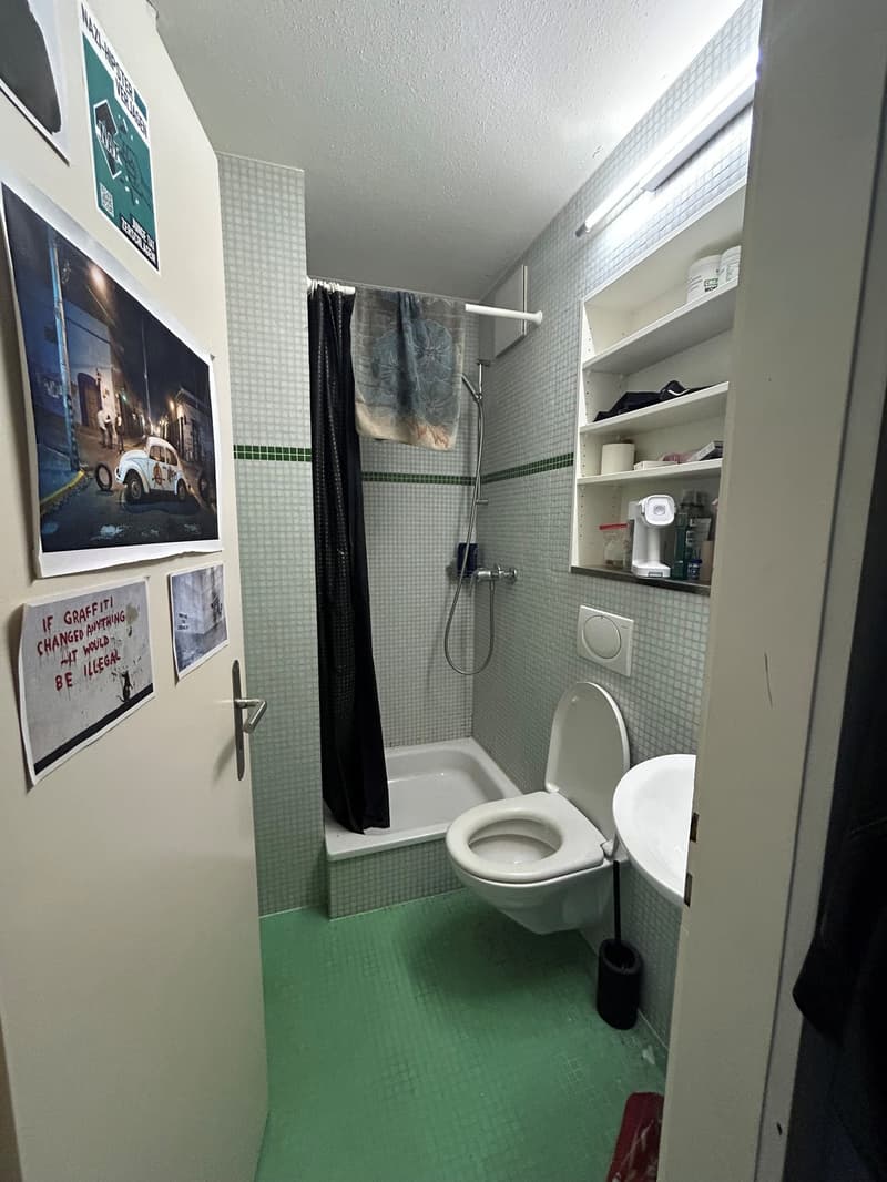 Schöne 1-Zimmer-Wohnung an bester Lage (6)