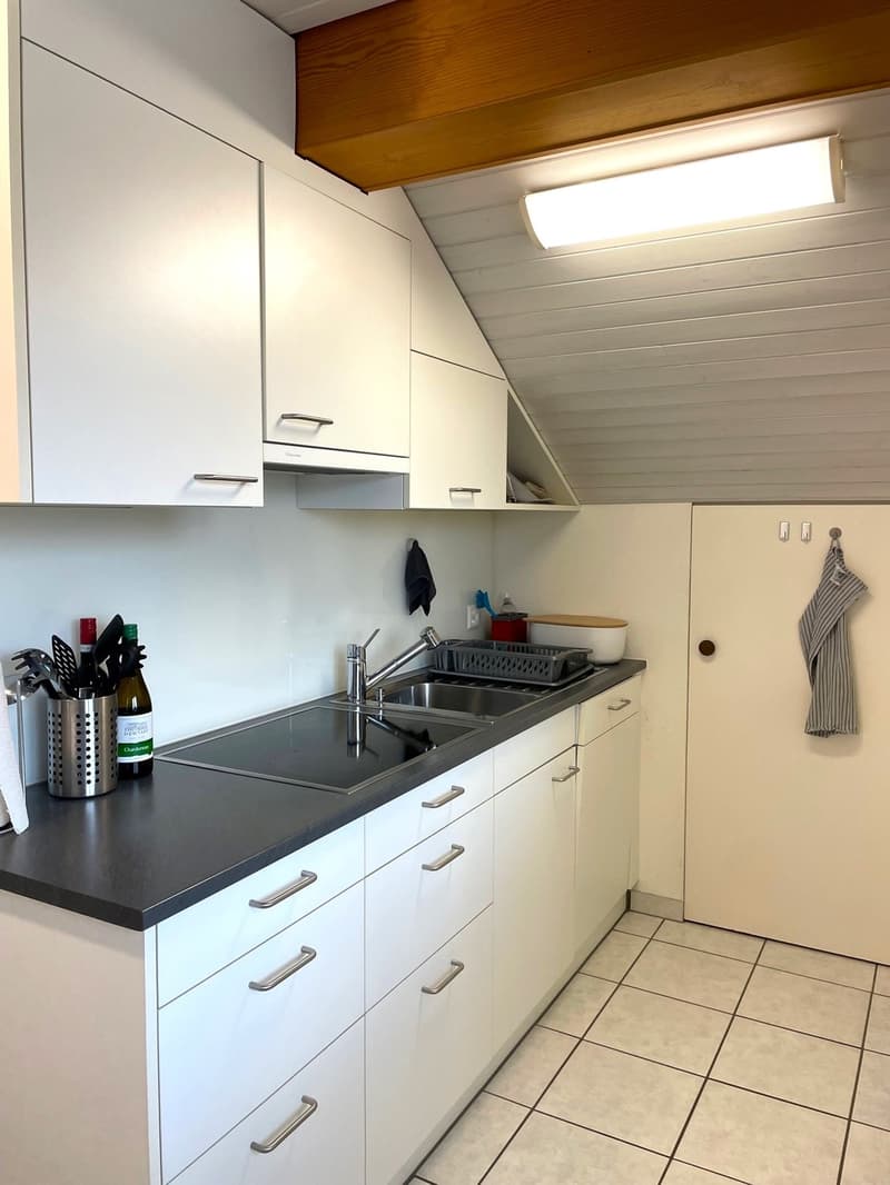 2 ½ Zimmer-Dachwohnung, 4500 Solothurn (6)