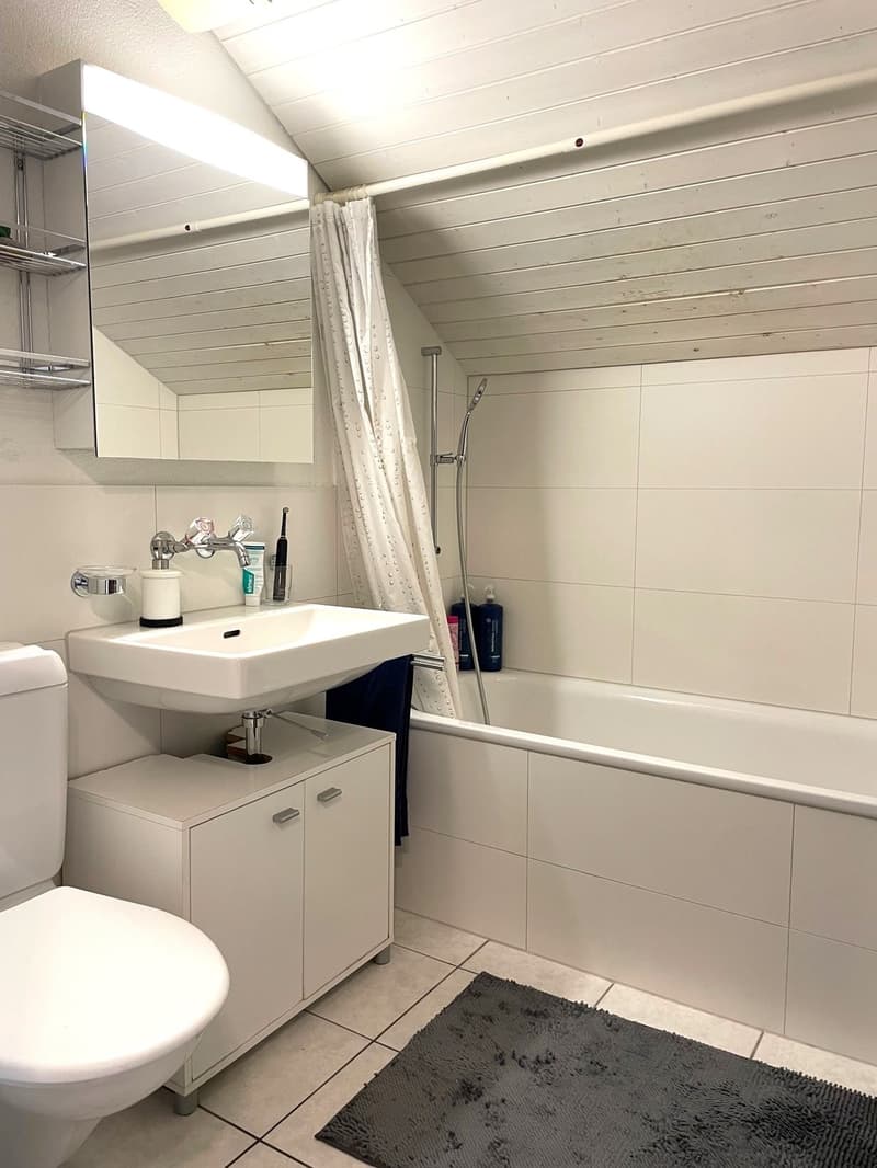 2 ½ Zimmer-Dachwohnung, 4500 Solothurn (8)