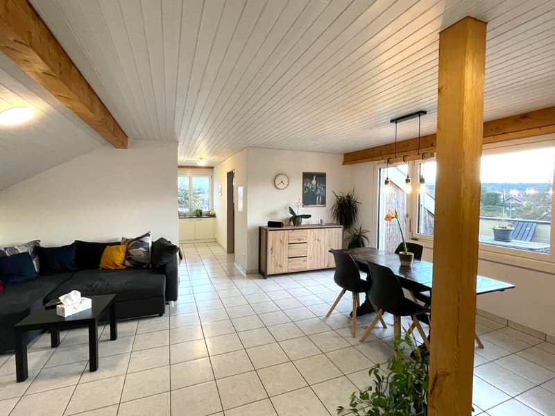 2 ½ Zimmer-Dachwohnung, 4500 Solothurn (2)