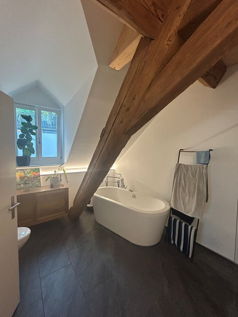 2 ½ Zimmer-Dachwohnung, 4500 Solothurn (7)