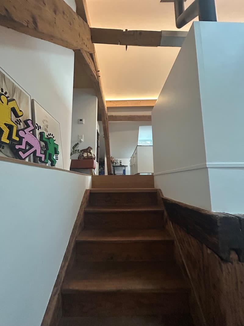 2 ½ Zimmer-Dachwohnung, 4500 Solothurn (3)