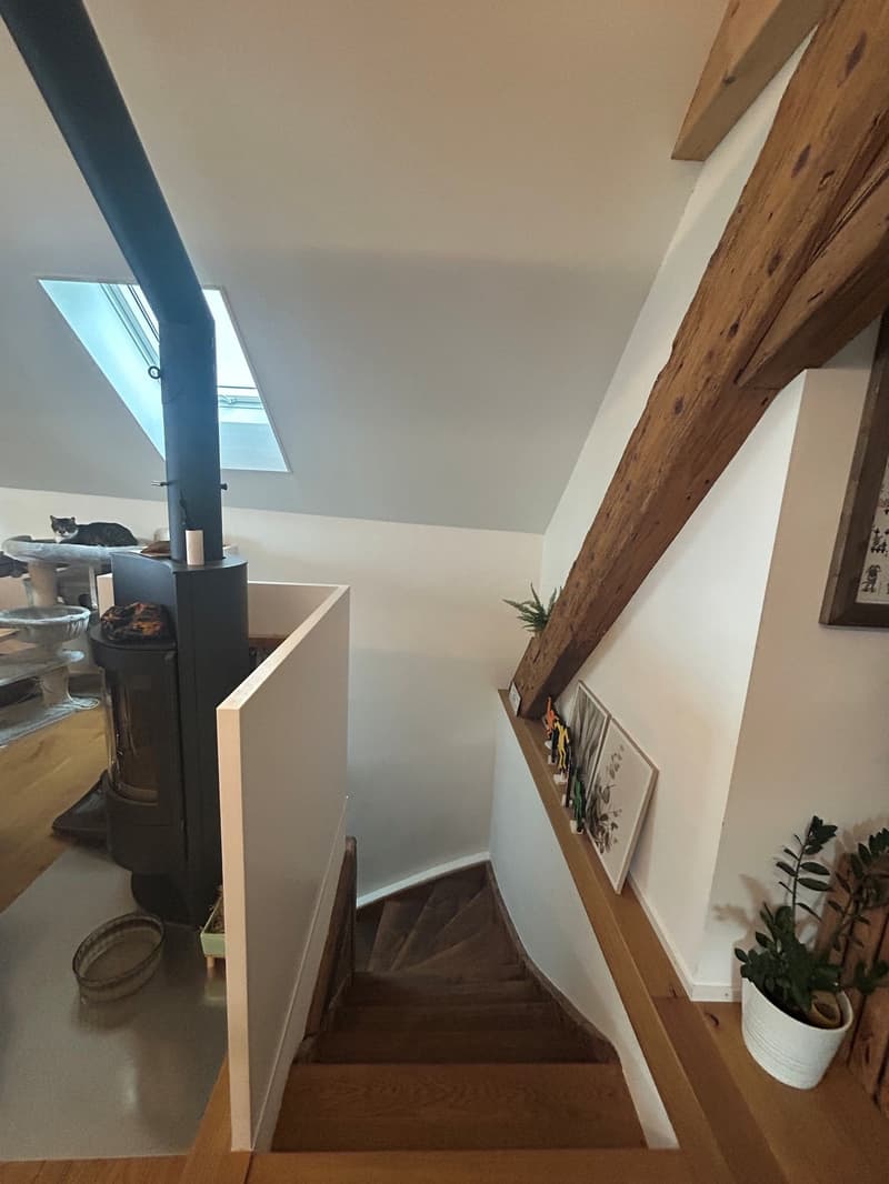 2 ½ Zimmer-Dachwohnung, 4500 Solothurn (4)