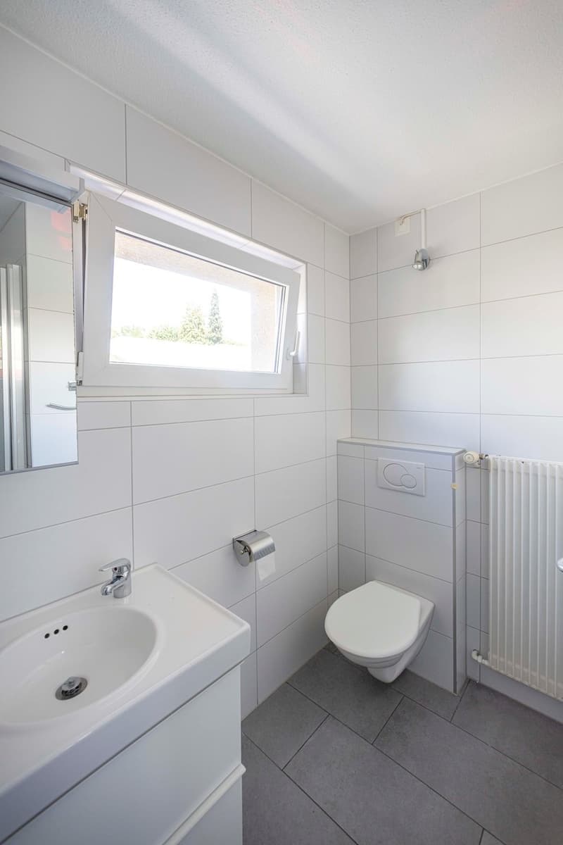 10 Zimmer-Haus, 4543 Deitingen (12)