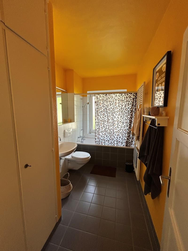 4 Zimmer-Wohnung, 4500 Solothurn (4)