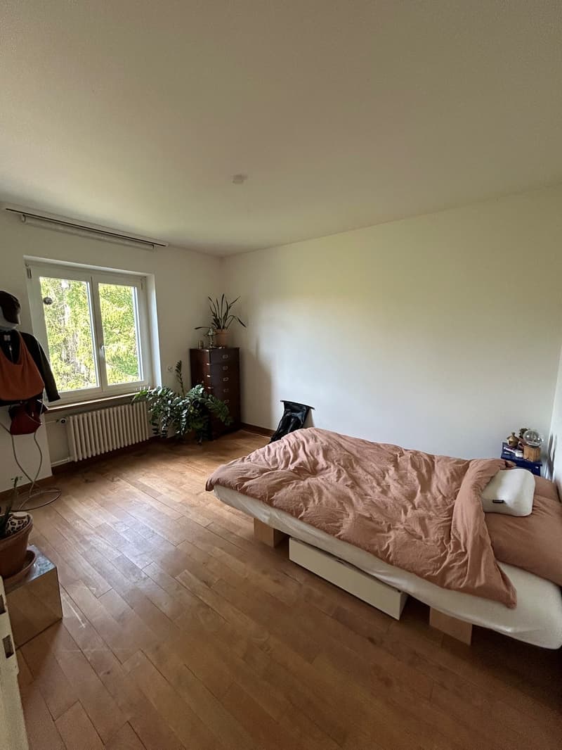 4 Zimmer-Wohnung, 4500 Solothurn (5)