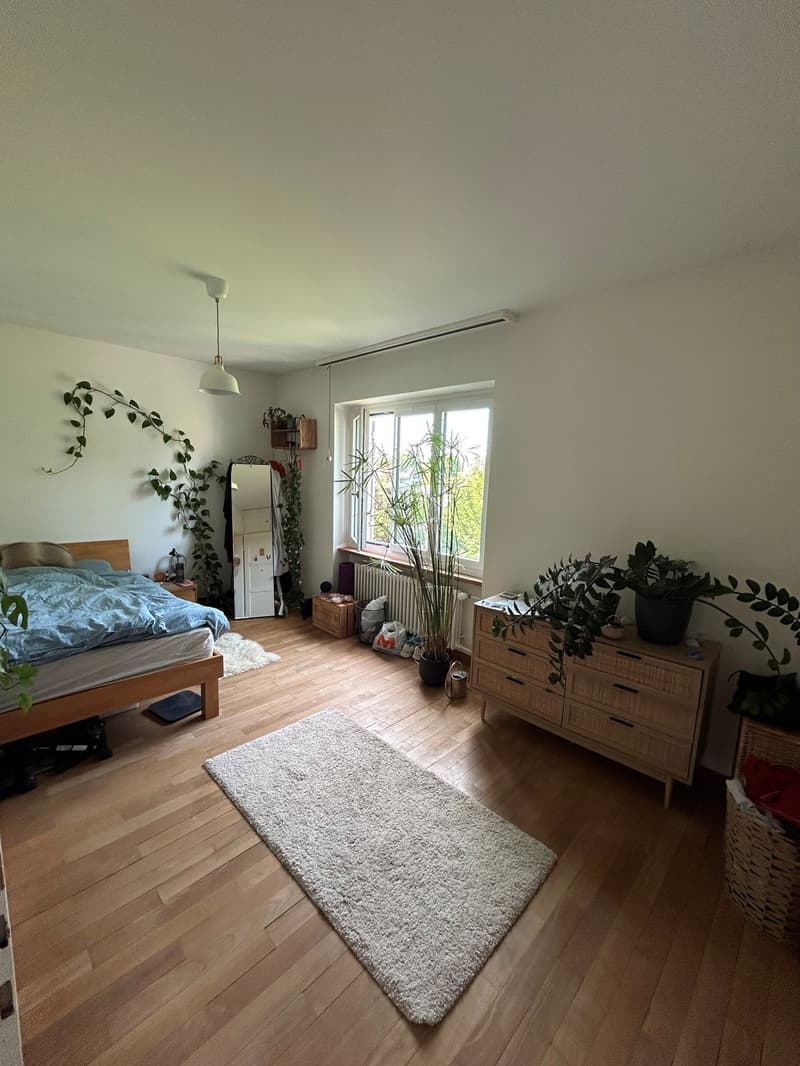 4 Zimmer-Wohnung, 4500 Solothurn (7)