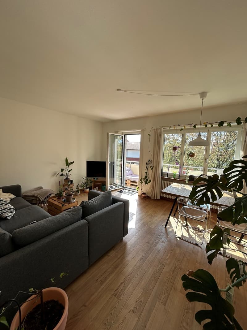 4 Zimmer-Wohnung, 4500 Solothurn (10)