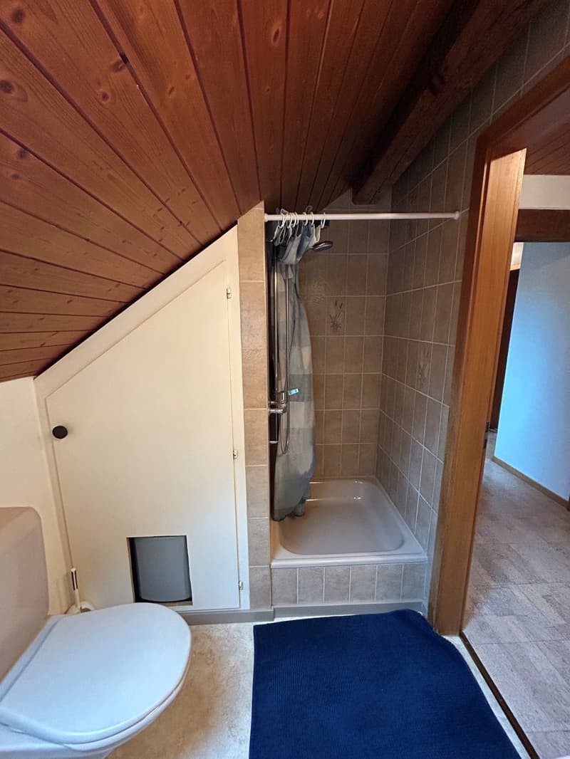 3 Zimmer-Wohnung, 4562 Biberist (8)