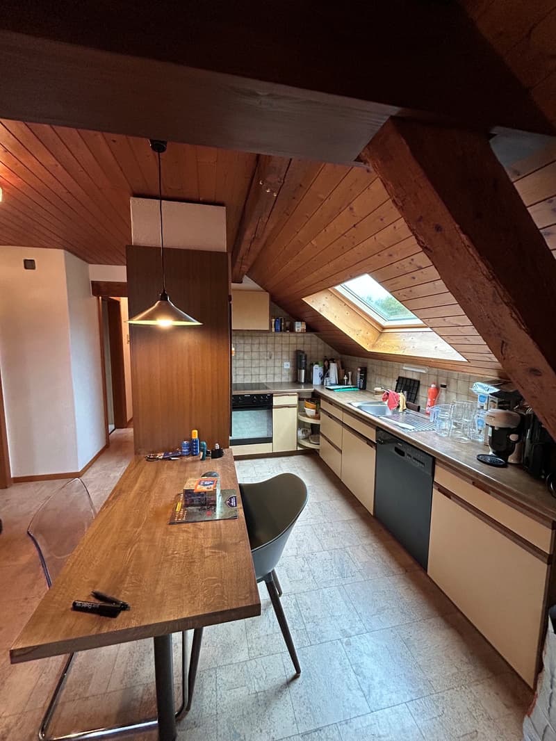 3 Zimmer-Wohnung, 4562 Biberist (5)
