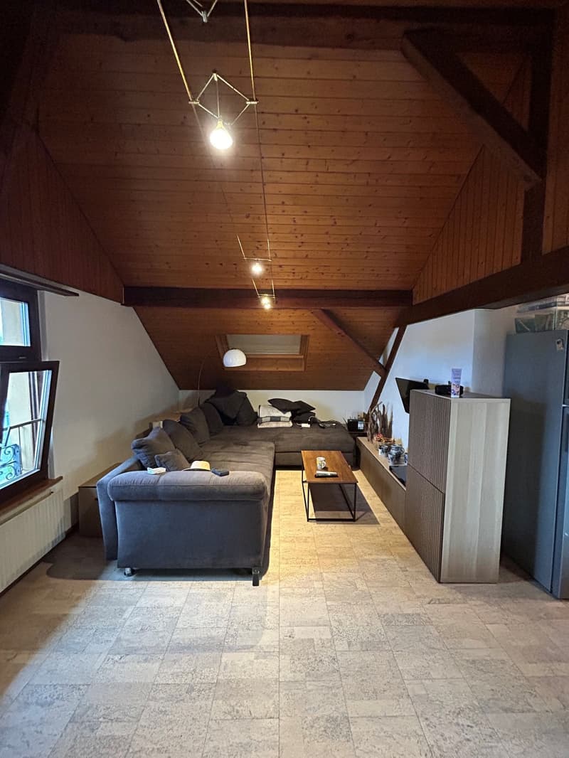 3 Zimmer-Wohnung, 4562 Biberist (9)