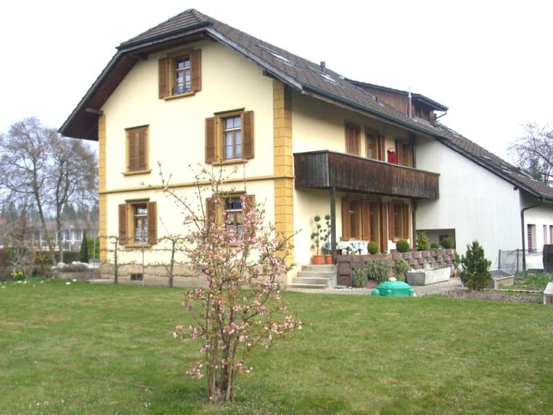 3 Zimmer-Wohnung, 4562 Biberist (1)