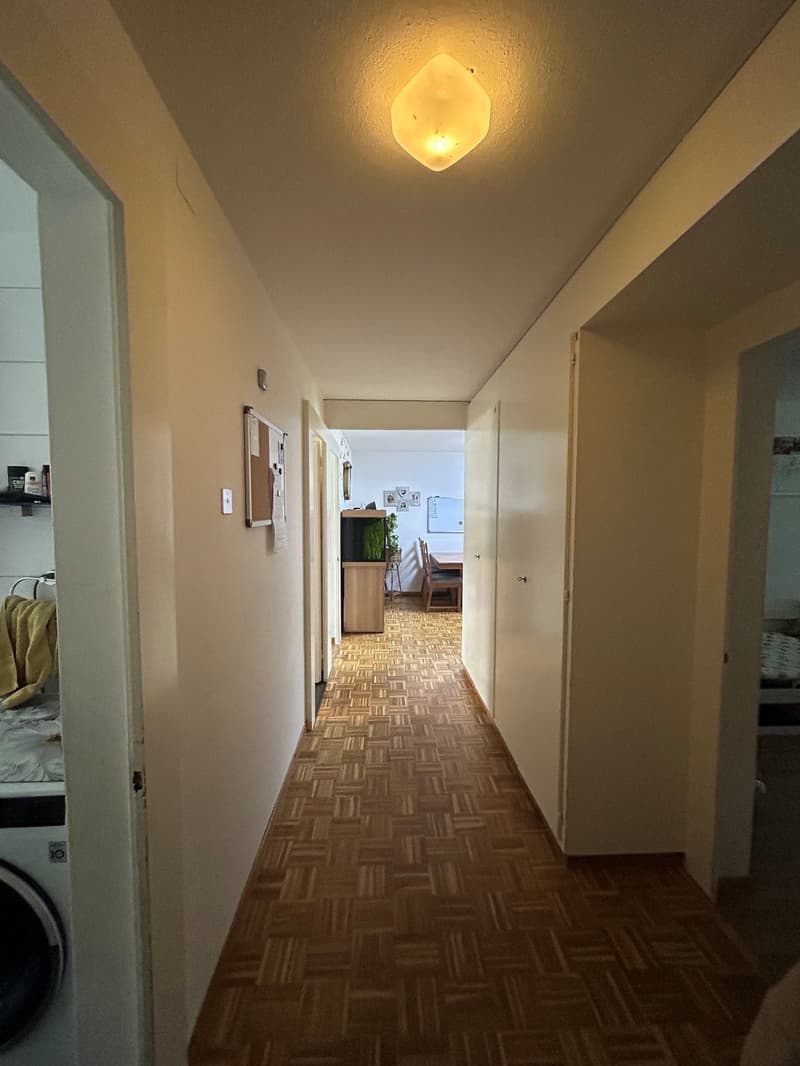 Schöne 3.5-Zimmerwohnung (2)