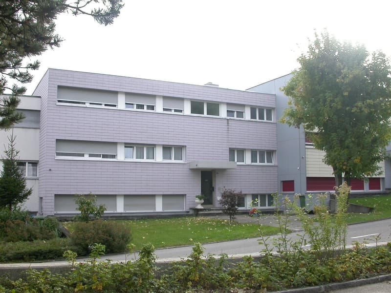 Schöne 3.5-Zimmerwohnung (1)