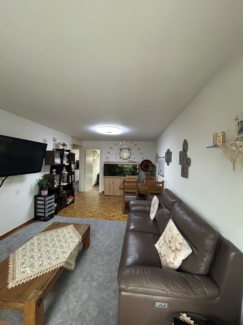 Schöne 3.5-Zimmerwohnung (4)
