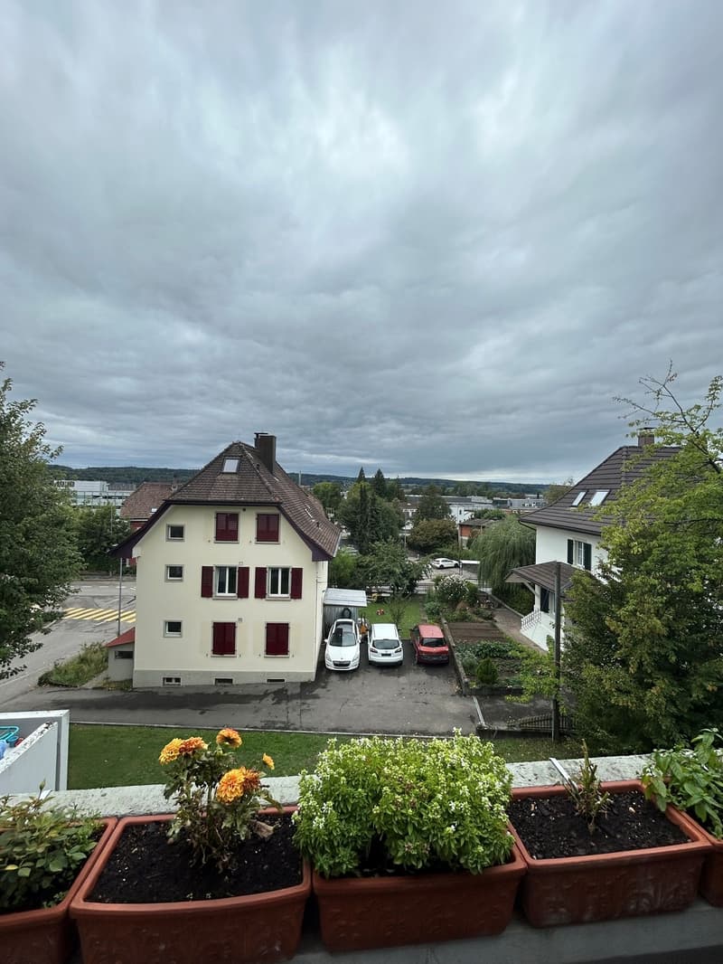 Schöne 3.5-Zimmerwohnung (6)