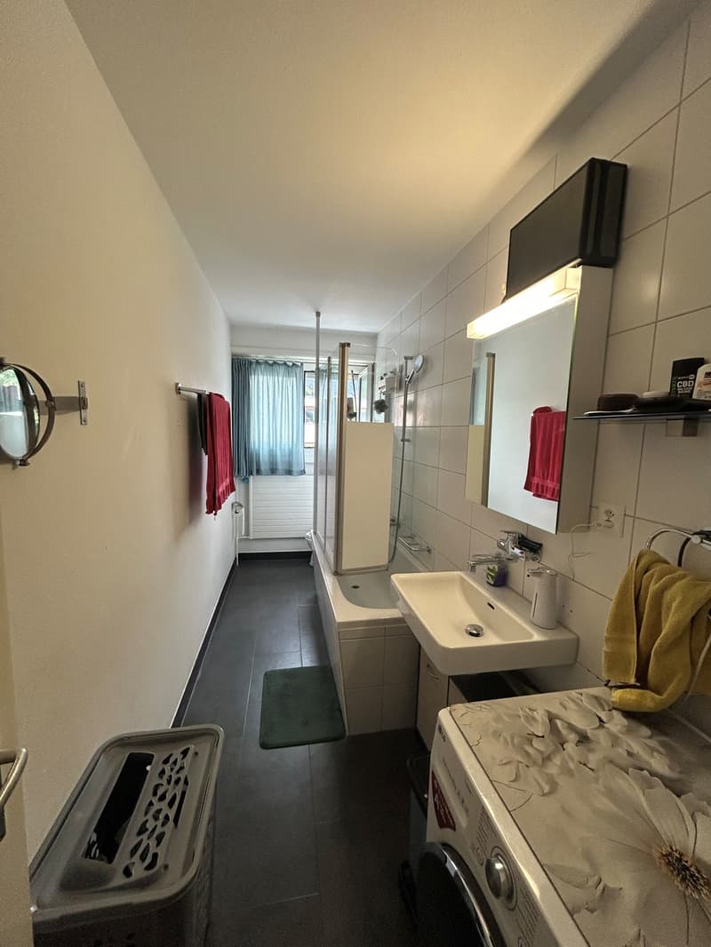 Schöne 3.5-Zimmerwohnung (10)