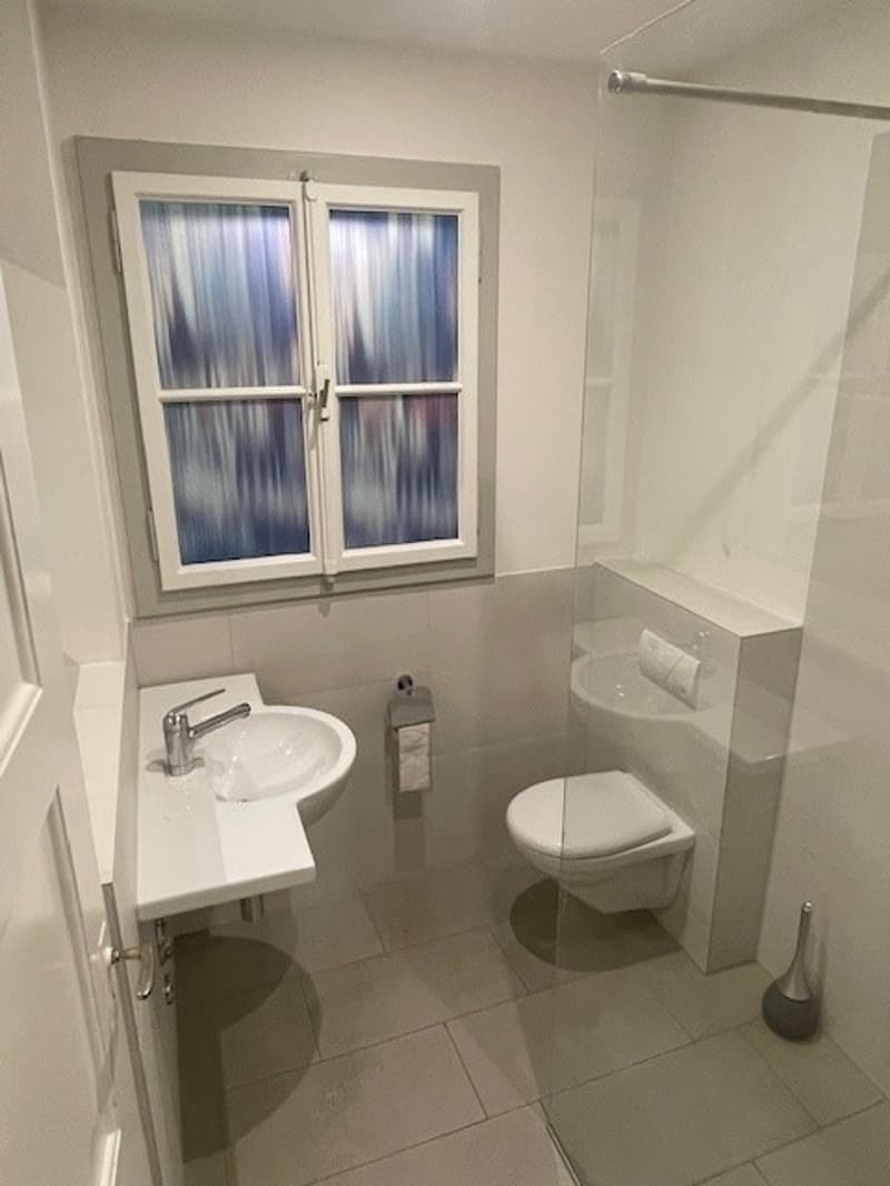 Charmante 3.5-Zimmer-Wohnung im Weissenbühl-Quartier (9)