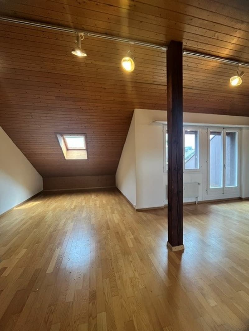 Charmante 2-Zimmer-Dachwohnung im Breitsch! (6)