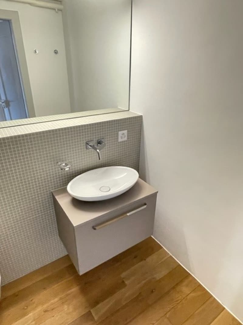 Moderne Wohnung mit Mansarde (12)