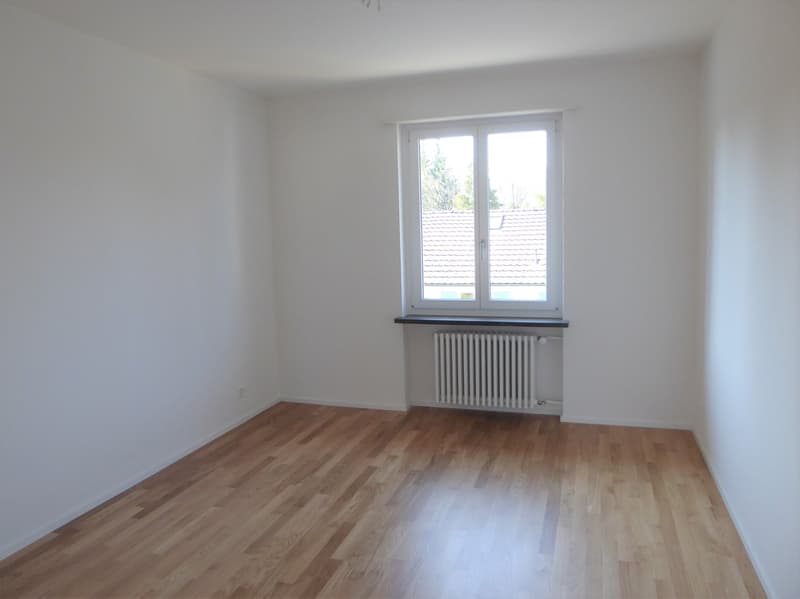 Sehr helle, sonnige 2-Zimmer-Single Wohnung im Erdgeschoss (5)