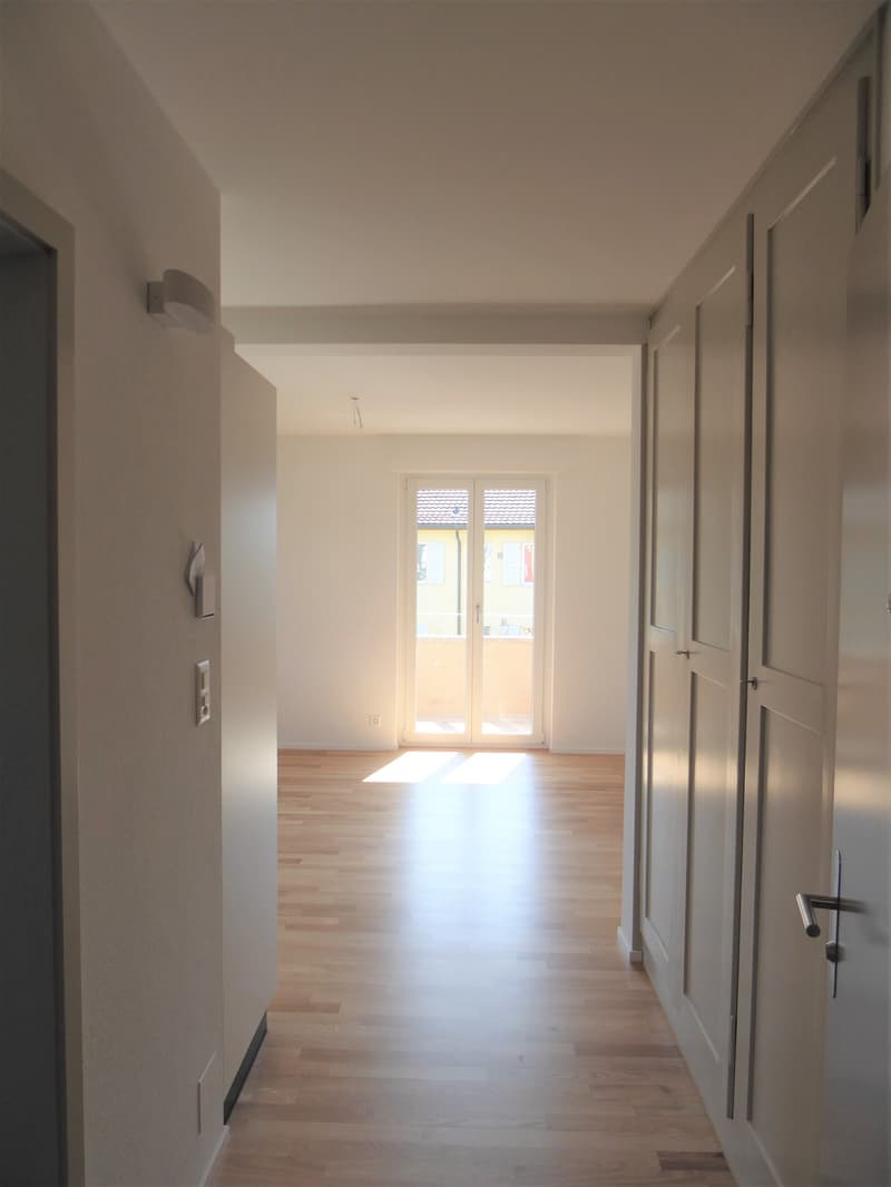 Sehr helle, sonnige 2-Zimmer-Single Wohnung im Erdgeschoss (6)
