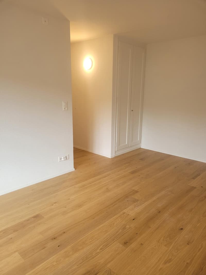 Hübsche 1.0-Zimmerwohnung im Länggassquartier zu vermieten! (5)