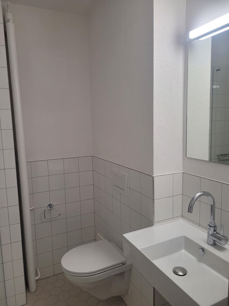 Hübsche 1.0-Zimmerwohnung im Länggassquartier zu vermieten! (4)