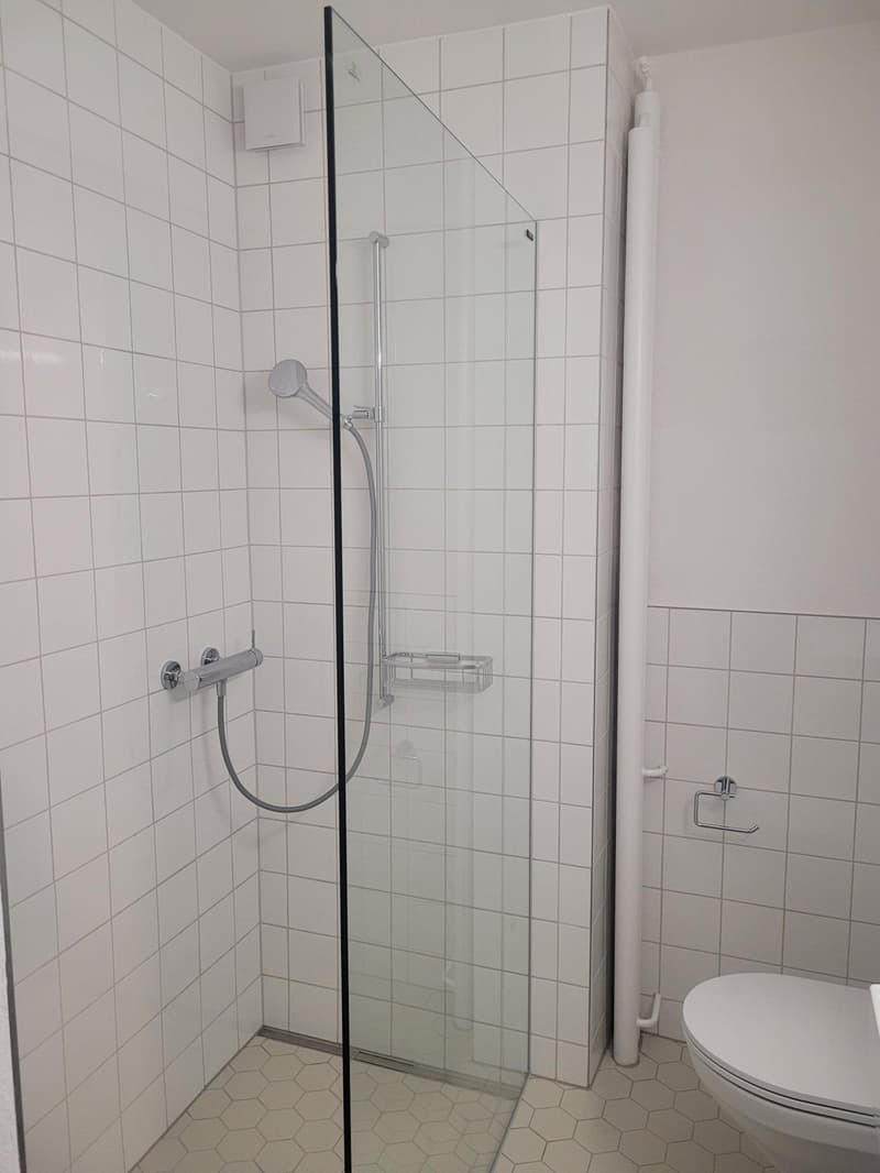 Hübsche 1.0-Zimmerwohnung im Länggassquartier zu vermieten! (3)