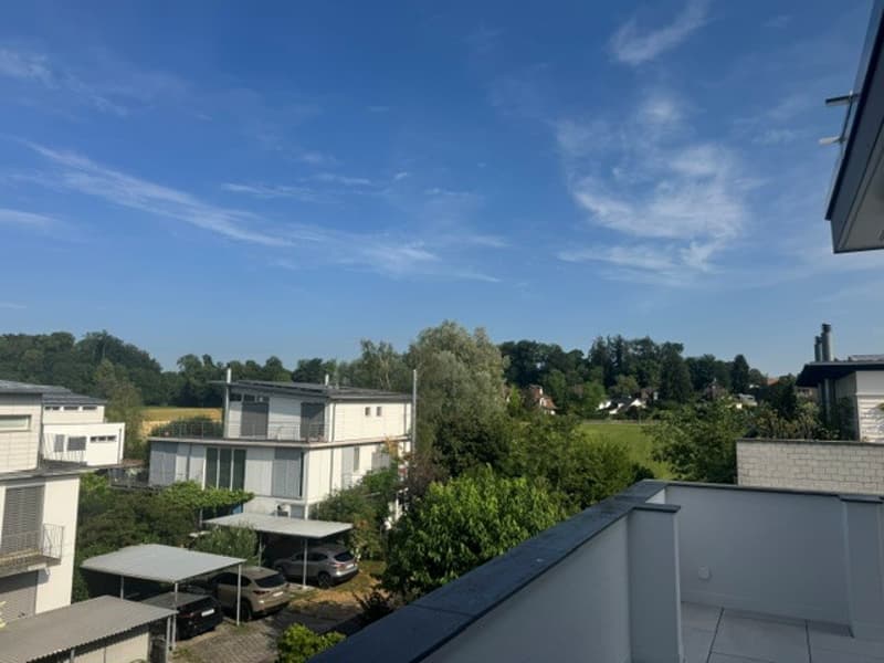 Erstbezug in schön sanierte Attikawohnung in 3-Parteienhaus (16)
