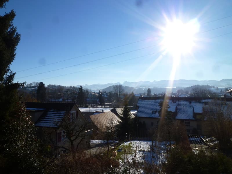 Helle 4.5-Zimmerwohnung mit grosszügigem Balkon (5)