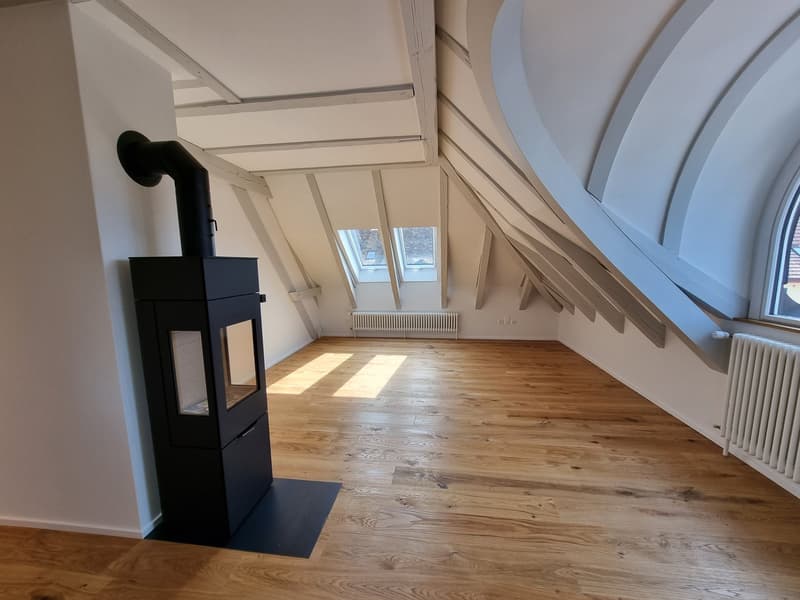 Sehr helle, sonnige 2 Zi. Single Wohnung im Dachgeschoss (3)