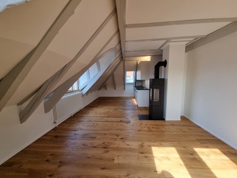 Sehr helle, sonnige 2 Zi. Single Wohnung im Dachgeschoss (4)