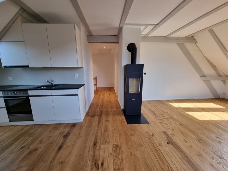 Sehr helle, sonnige 2 Zi. Single Wohnung im Dachgeschoss (2)