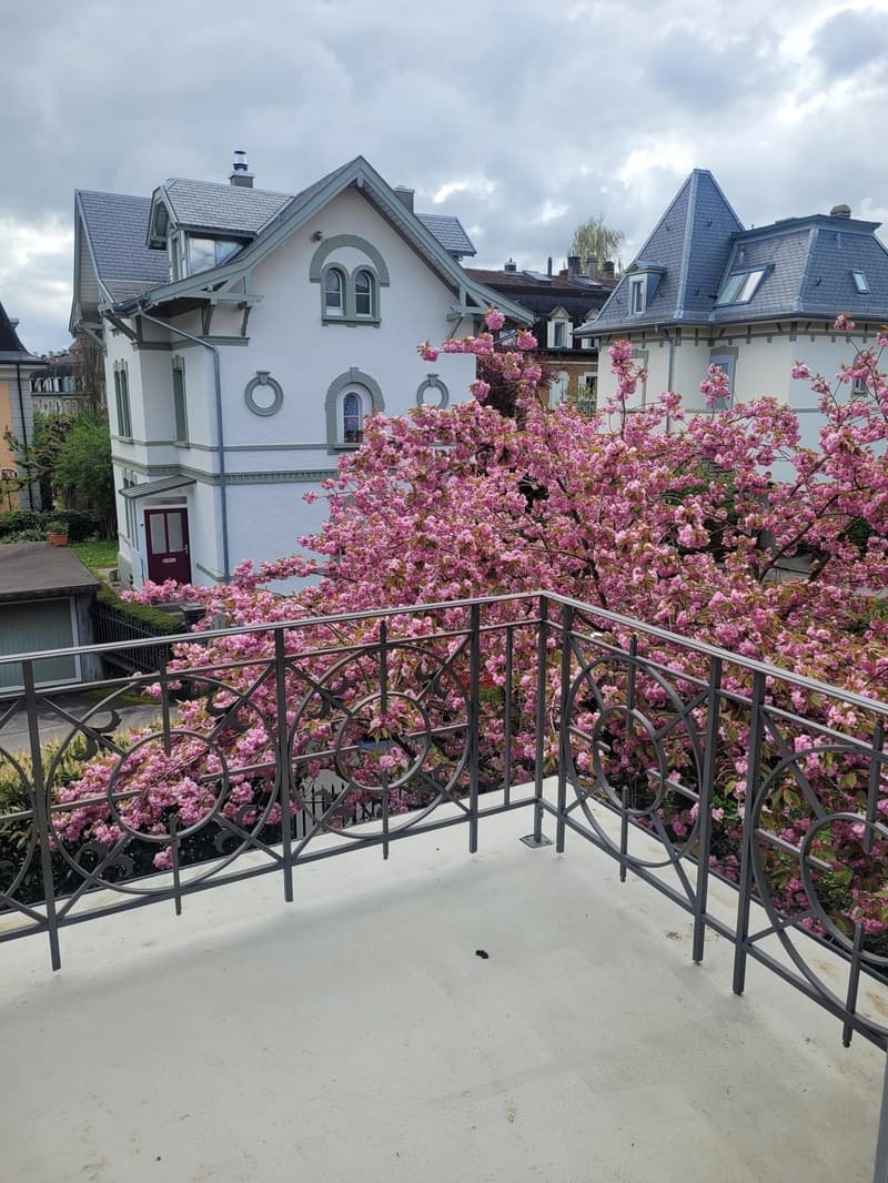 Ruhige Wohnung mit Balkon (9)