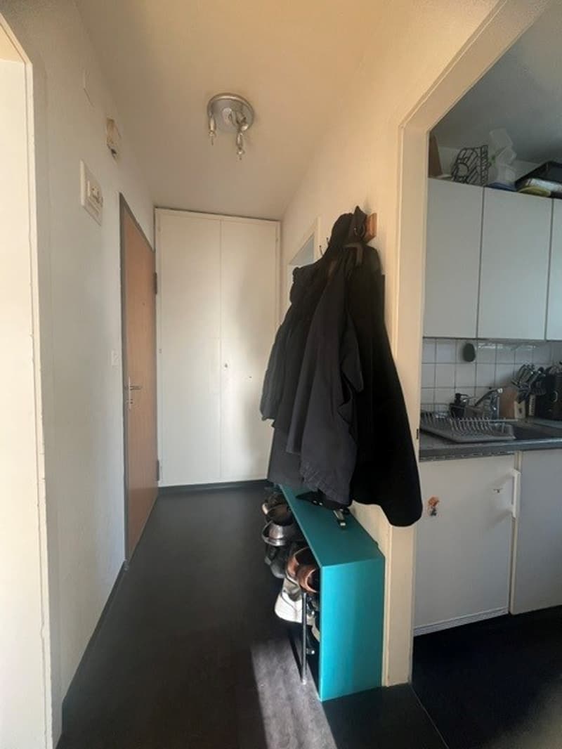 2.5-Zimmerwohnung an gut erschlossener Lage (6)