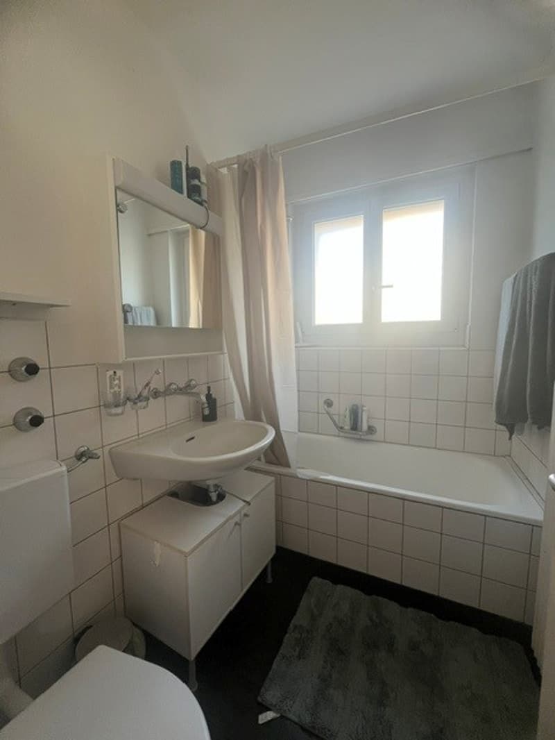 2.5-Zimmerwohnung an gut erschlossener Lage (3)