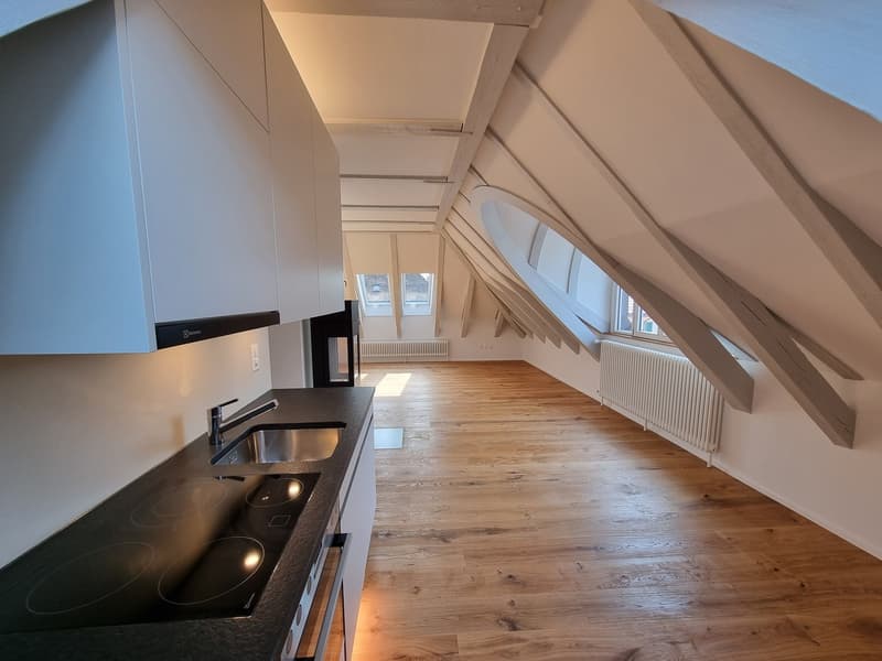 Sehr helle, sonnige 2 Zi. Single Wohnung im Dachgeschoss (5)