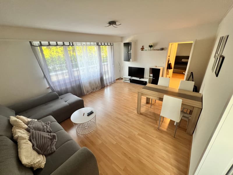 Sonnige 2.5 - Zimmer-Attikawohnung mit grosser Terrasse! (5)