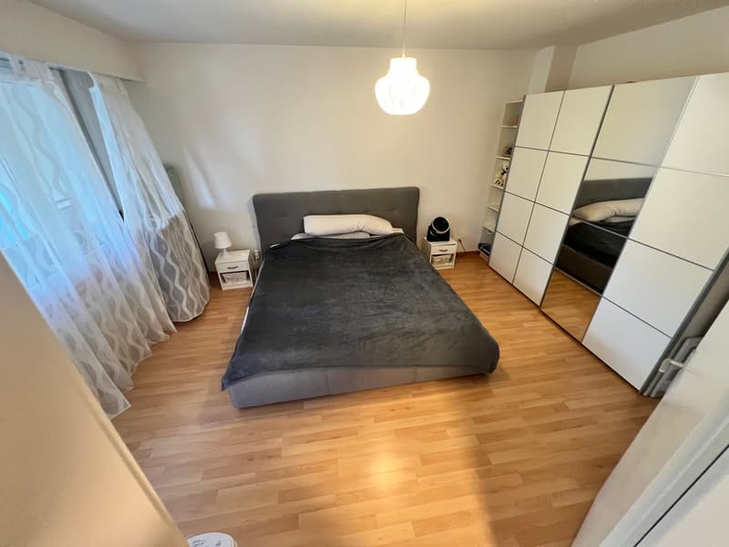 Sonnige 2.5 - Zimmer-Attikawohnung mit grosser Terrasse! (6)