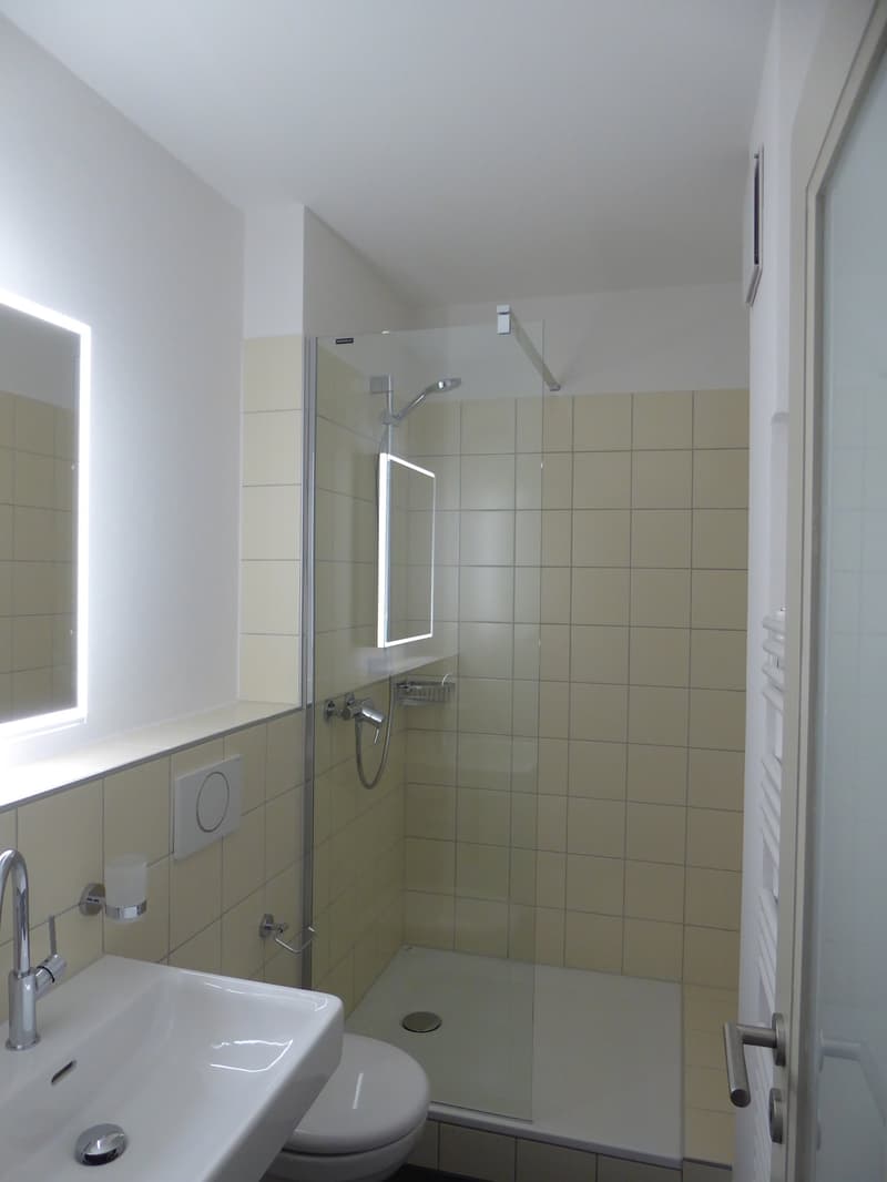Sehr helle, sonnige 2-Zi. Wohnung im 2. OG (5)