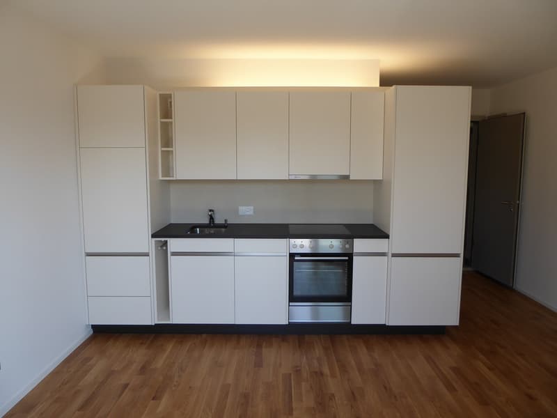 Sehr helle, sonnige 2-Zi. Wohnung im 2. OG (3)