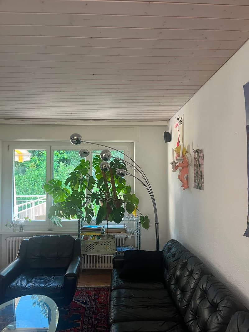 grosszügige 4.5-Zimmerwohnung in Wabern (6)