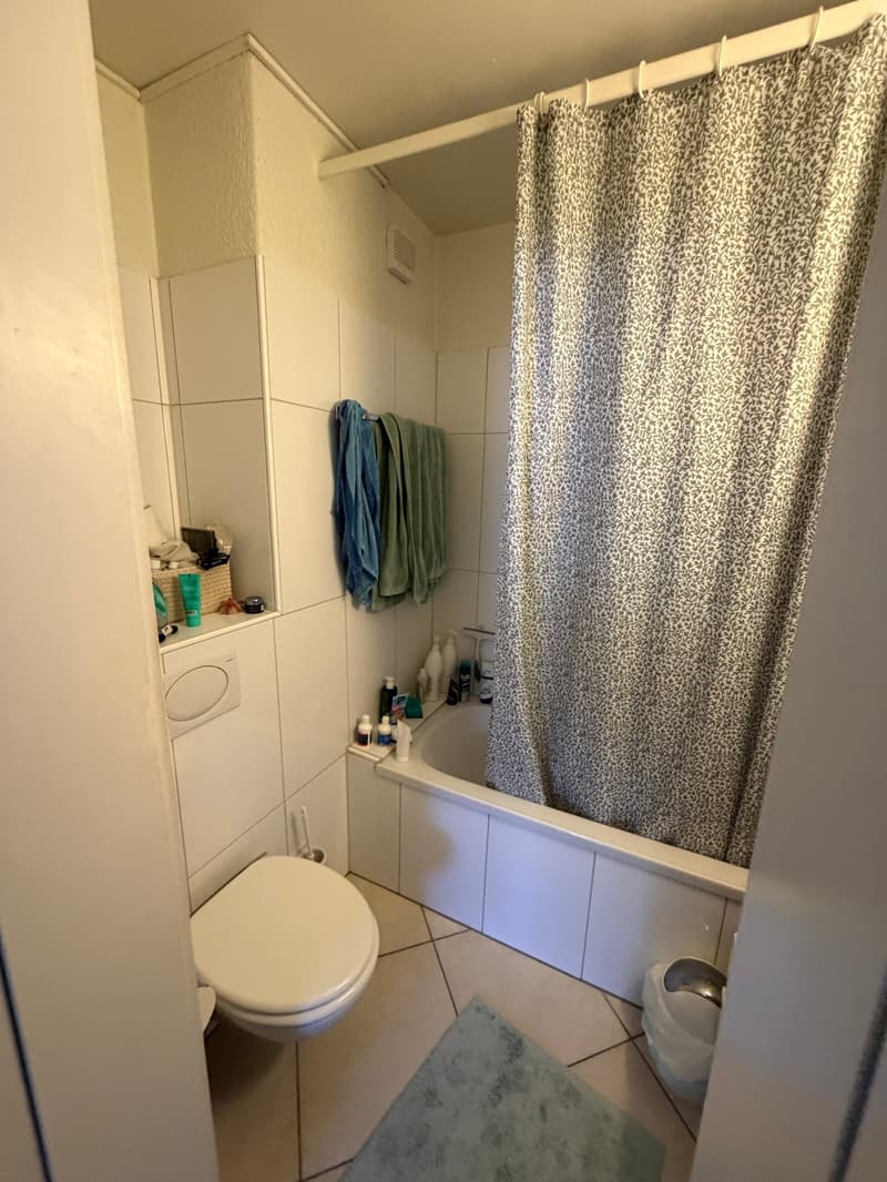 Charmante 3.5-Zimmer-Wohnung mit Balkon nächst Wankdorf (4)