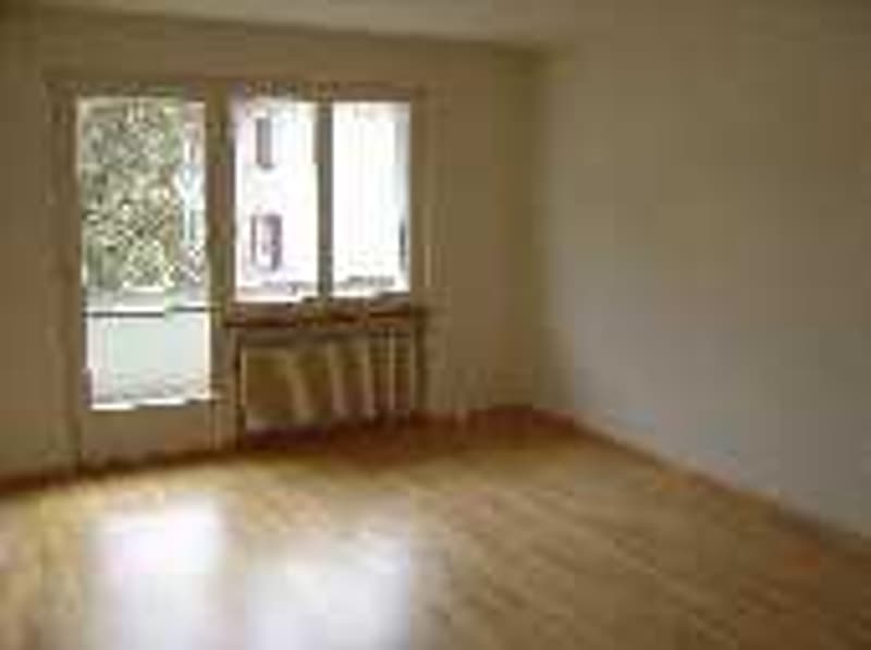 neu sanierte 3.5-Zimmerwohnung zu vermieten (4)