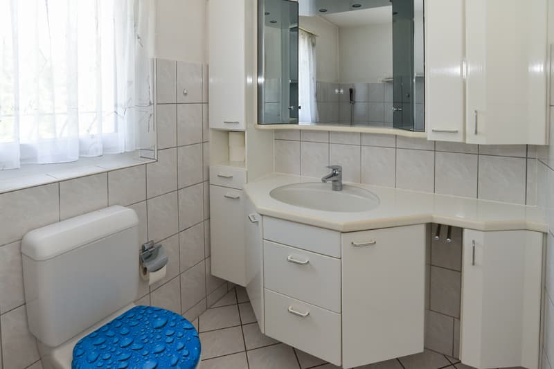 Nasszelle mit WC, Lavabo...
