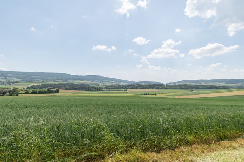 Aussicht...