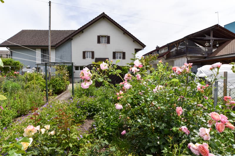 Preiswertes Haus zum Renovieren an zentraler Lage (2)